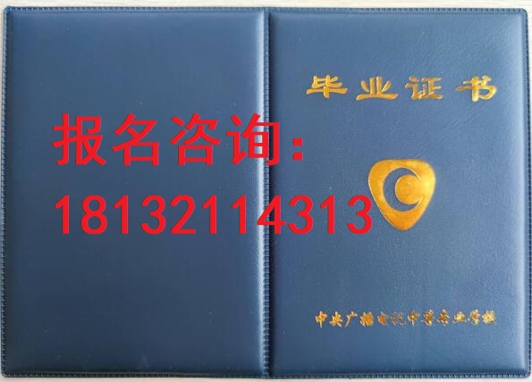 電大中?？荚囋趺崔k