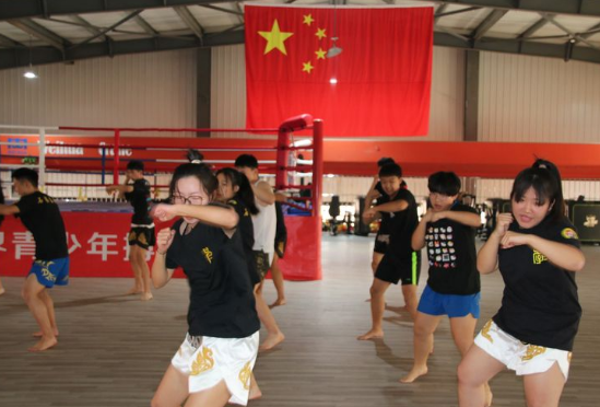 石家莊開設體育專業(yè)、武術專業(yè)的學校
