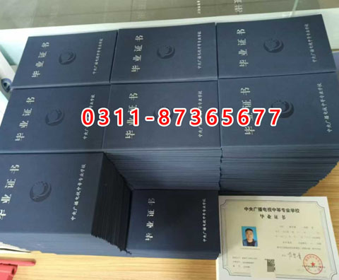 學信網上都能查詢什么學歷呢？